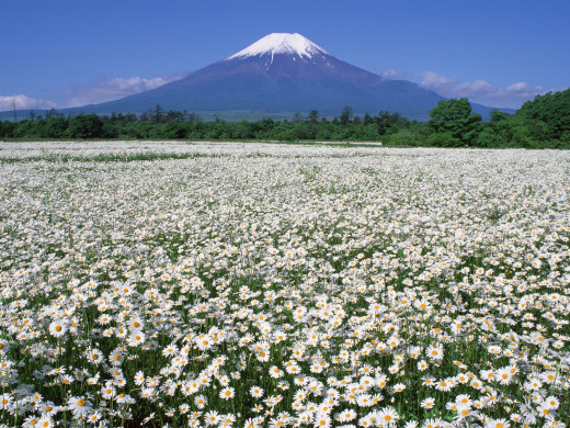 46066 (a): :1600x1200